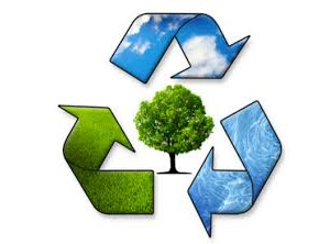 Environment